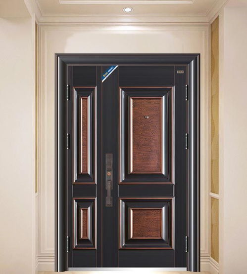 安庆欧奢曼静音安全防盗门 家用安全与品质之选